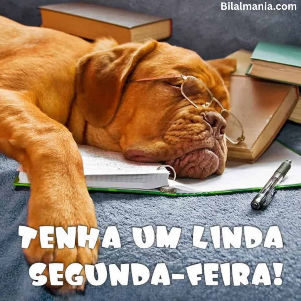 mensagens de bom dia e feliz segunda-feira