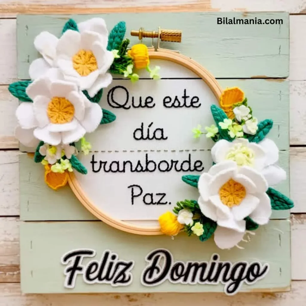 🔥 50+ Bom Dia Feliz Domingo com Imagens Lindas mensagens de feliz domingo