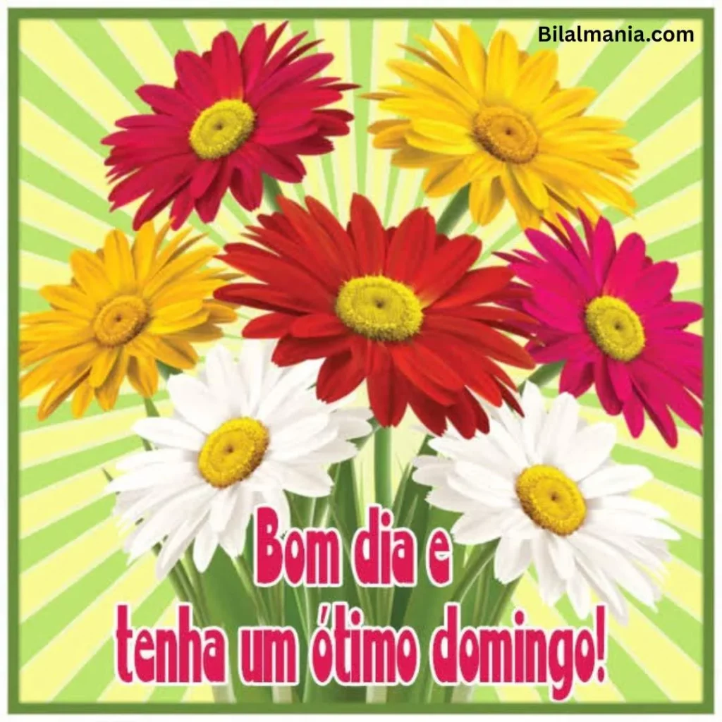 🔥 50+ Bom Dia Feliz Domingo com Imagens Lindas mensagens de feliz domingo para whatsapp