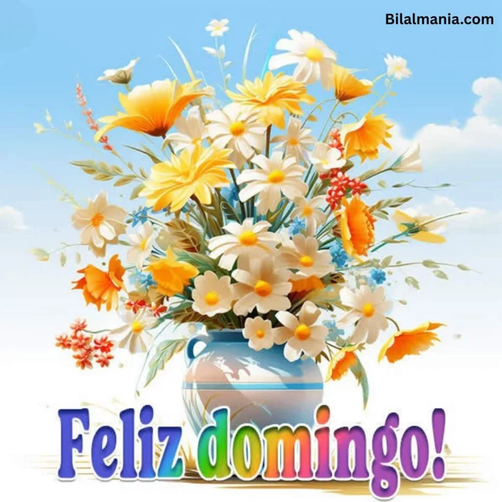🔥 50+ Bom Dia Feliz Domingo com Imagens Lindas mensagens de feliz domingo para whatsapp