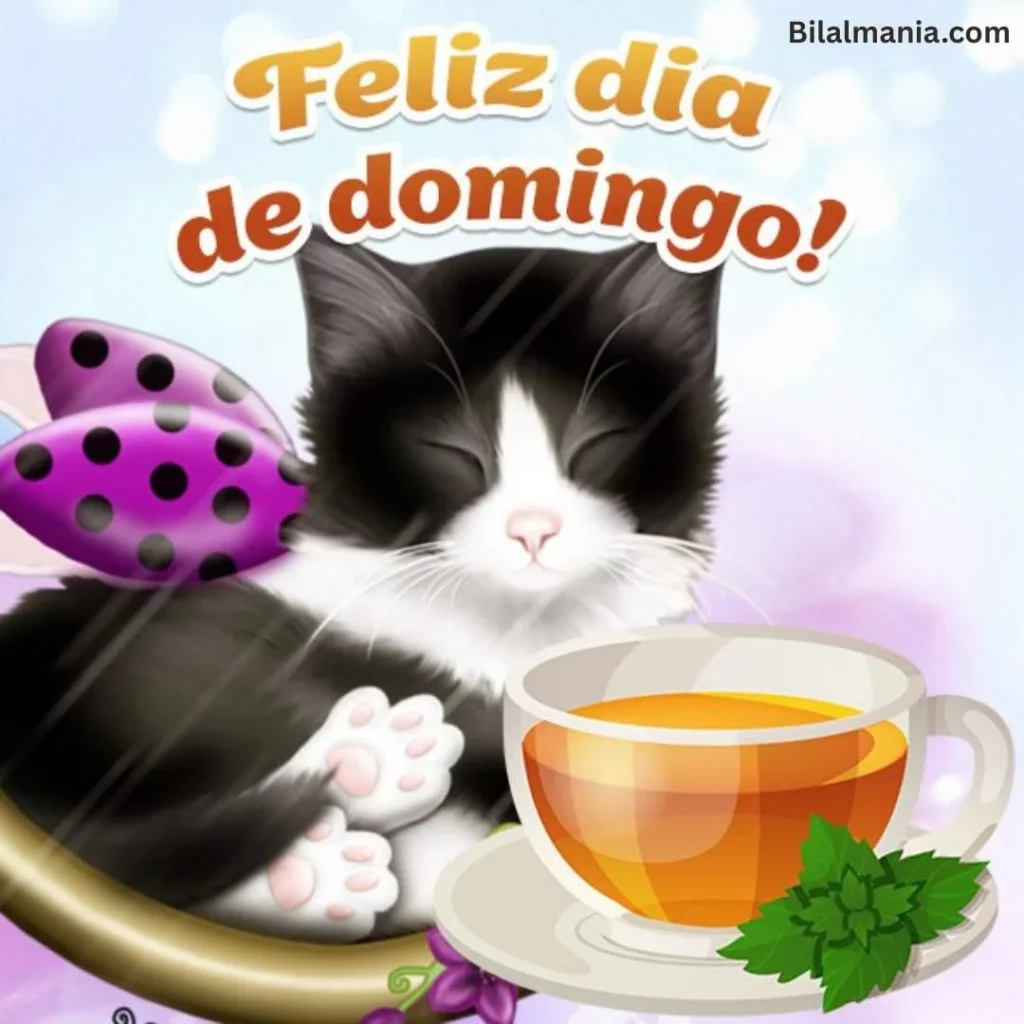 🔥 50+ Bom Dia Feliz Domingo com Imagens Lindas mensagens de feliz domingo para whatsapp