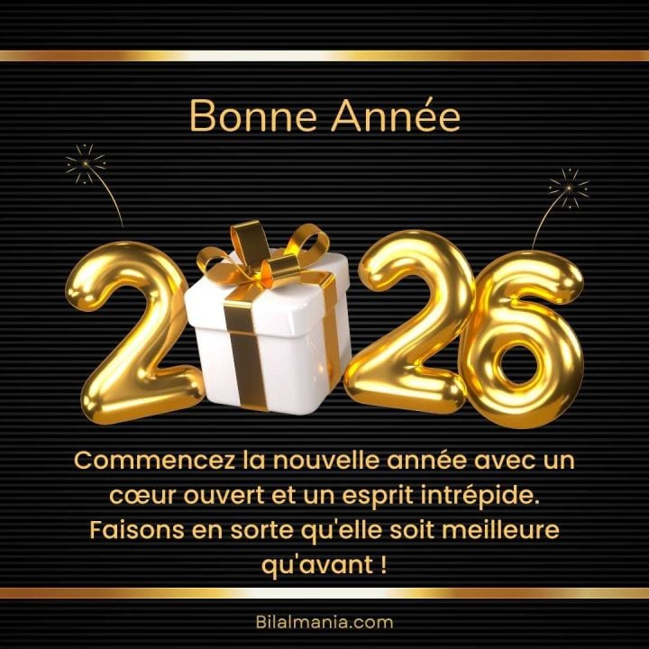 Meilleurs Voeux 2026