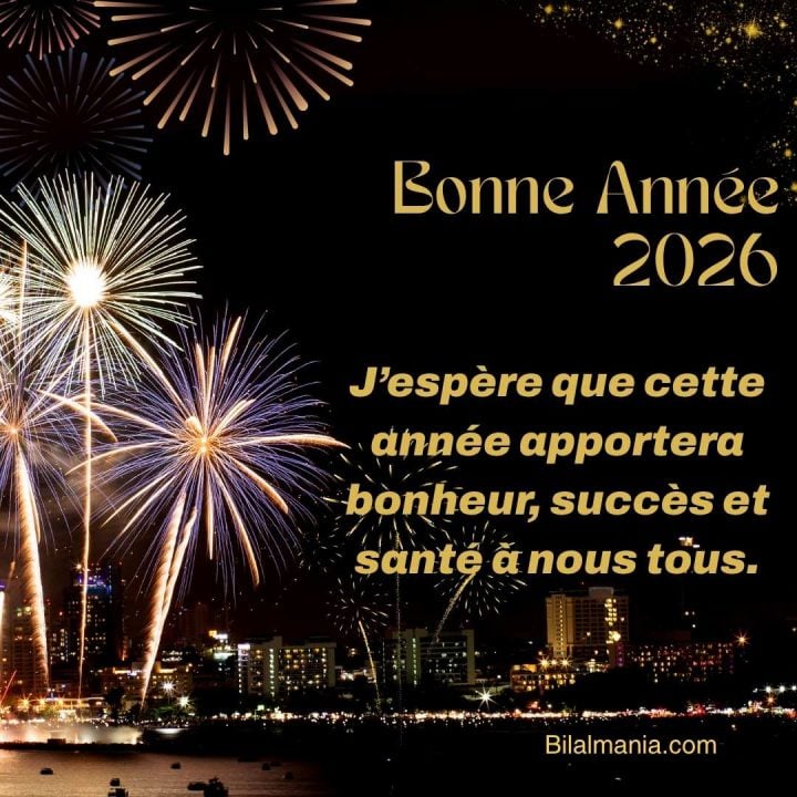 Meilleurs Voeux 2026
