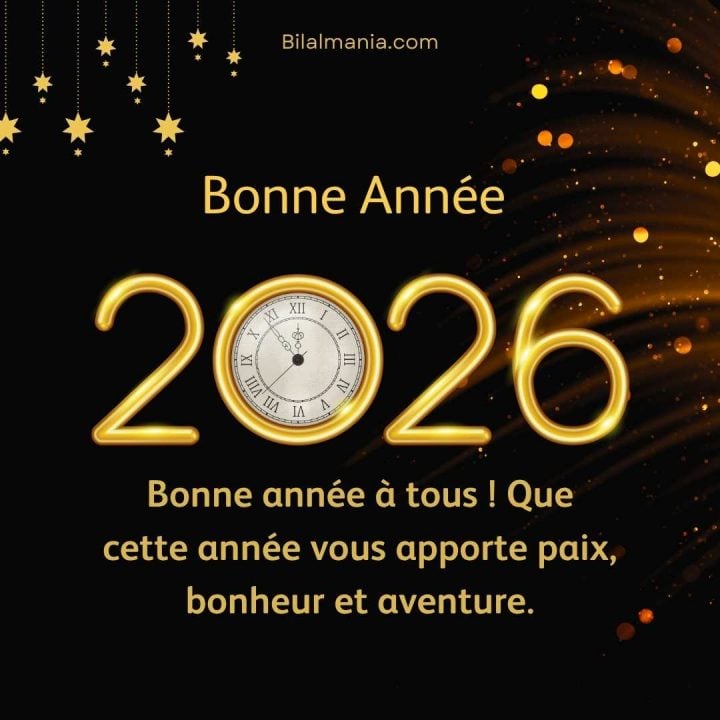 Meilleurs Voeux 2026
