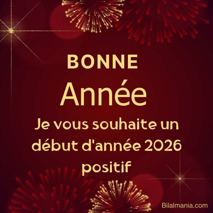 Meilleurs Voeux 2026