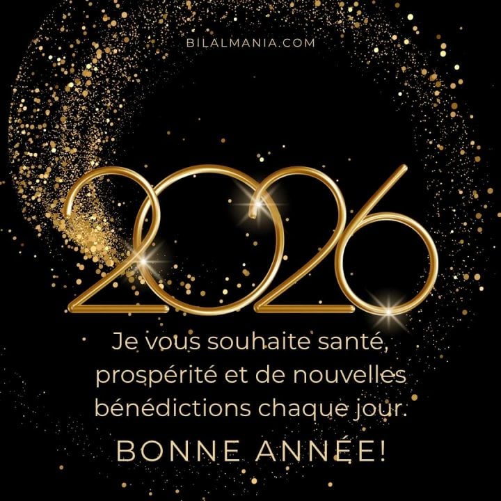 Meilleurs Voeux 2026