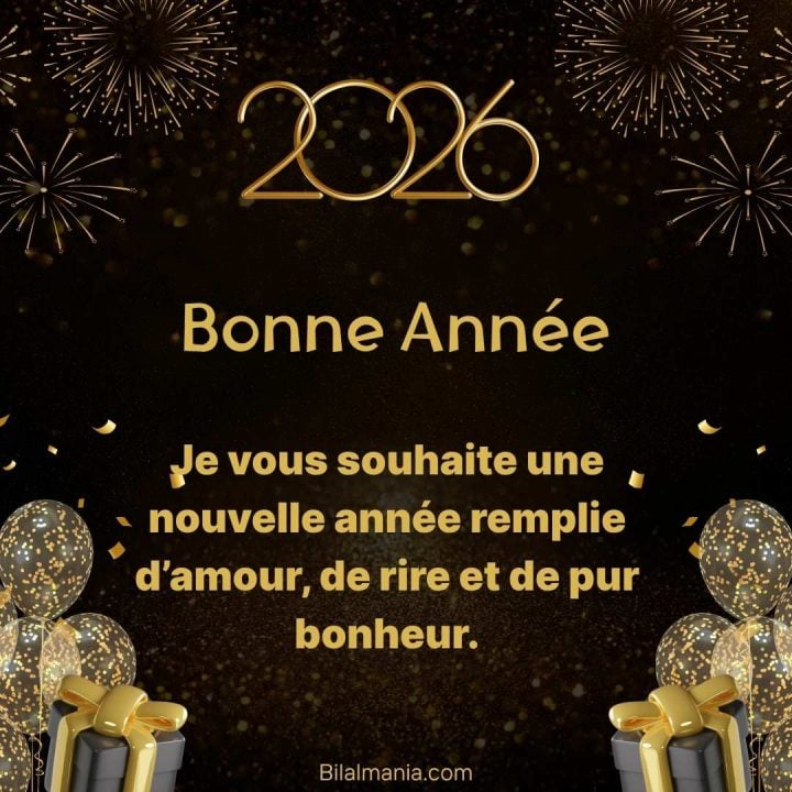 Meilleurs Voeux 2026