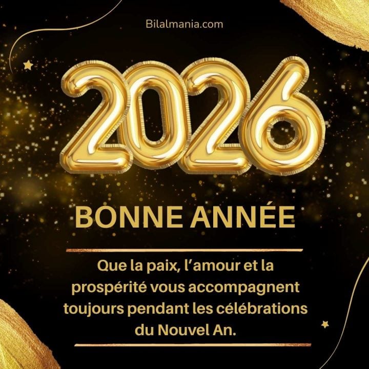 Meilleurs Voeux 2026