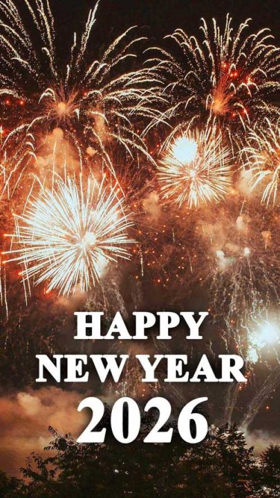 Sparkling Animated Fireworks Happy New Year 2026 GIF Images Firework Happy New Year 2026 Image