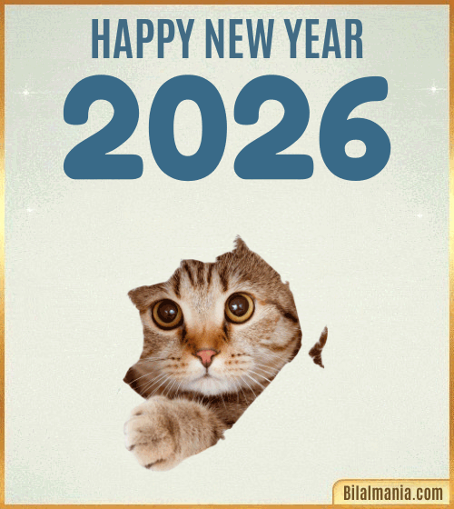 Funny Happy New Year 2026 GIFs & Memes to Make You Laugh Funny Happy New Year 2026 gif Cat